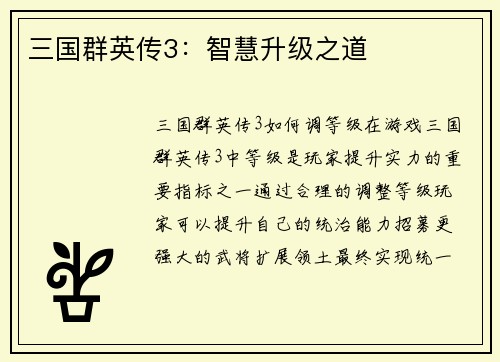 三国群英传3：智慧升级之道